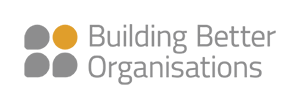 building better organisations logo